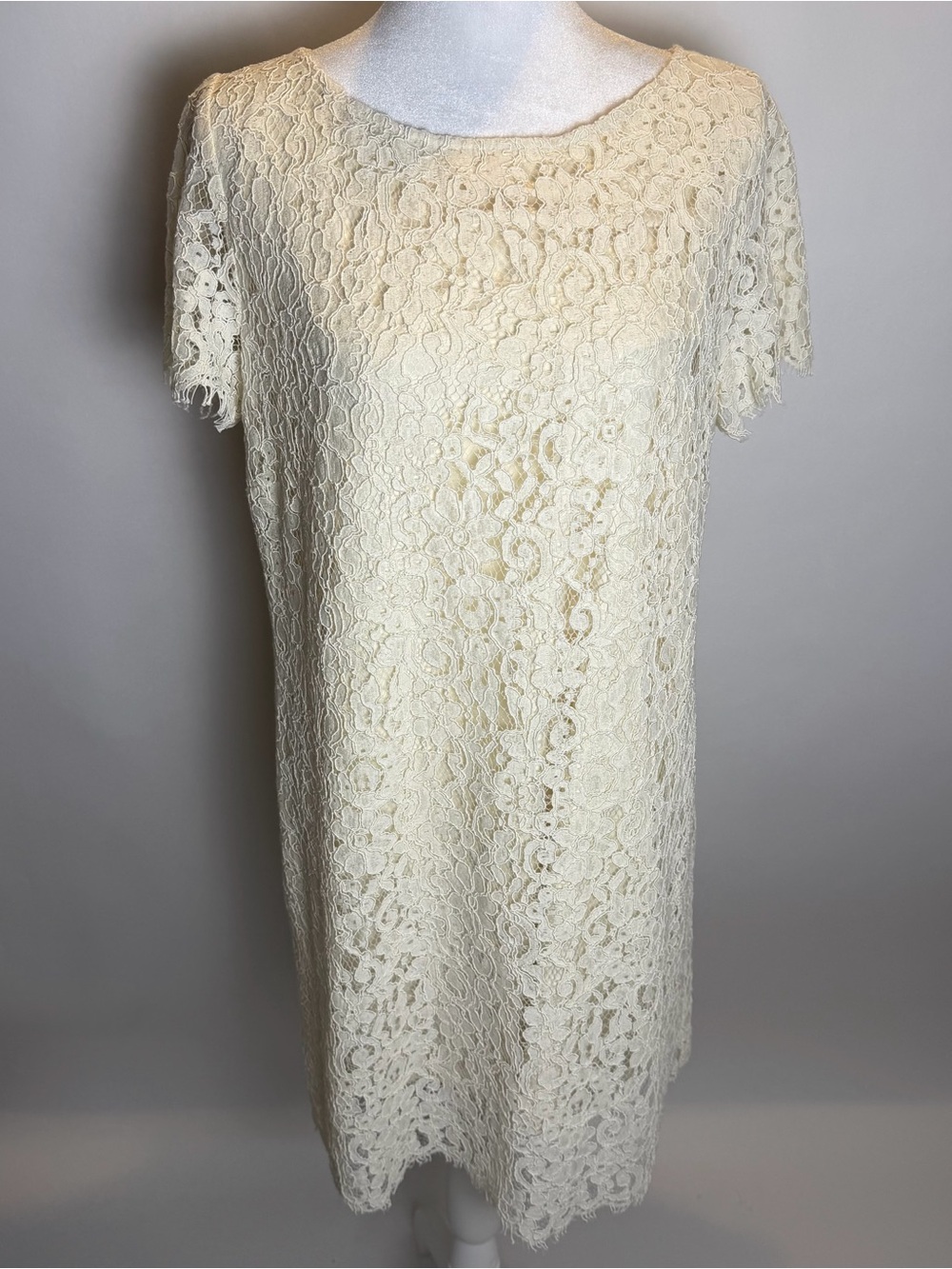 Zara Woman Size Large Ivory/Cream Lace Shift Dress - NWT